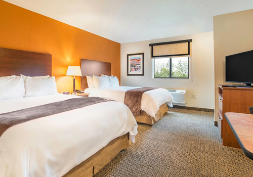 Suite Room